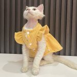 Chats mignons en costumes - jaune