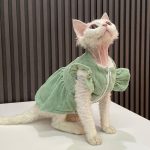 コスチュームを着たかわいい猫たち-グリーン