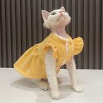 Niedliche Katzen in Kostümen - Gelb