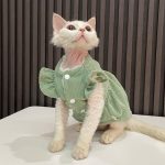 コスチュームを着たかわいい猫たち-グリーン