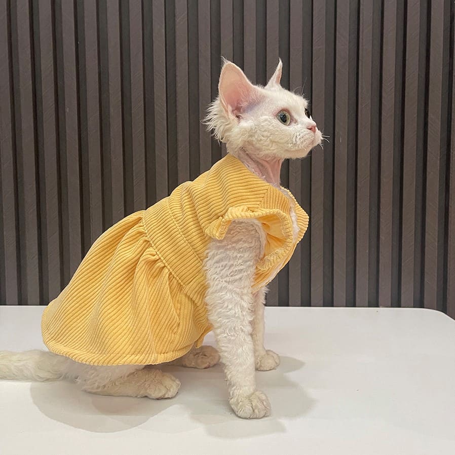 コスチュームを着たかわいい猫たち-Yellow