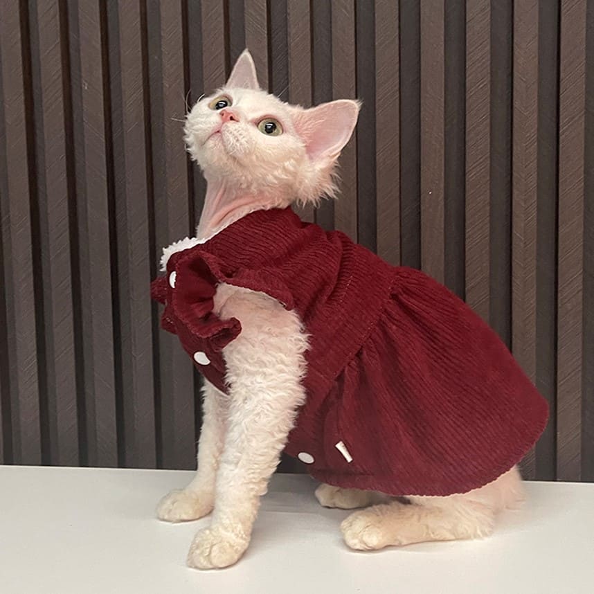 Cute Cats Dresses-Corduroy Lace Dress for Kittens · YESWARMG