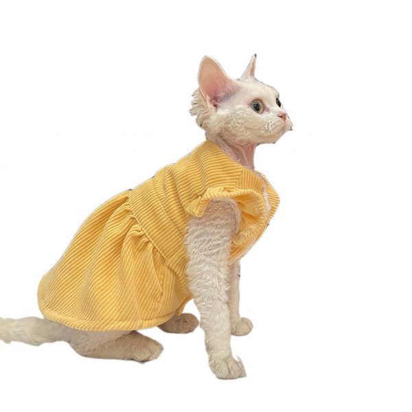 Милые кошки в костюмах - желтые