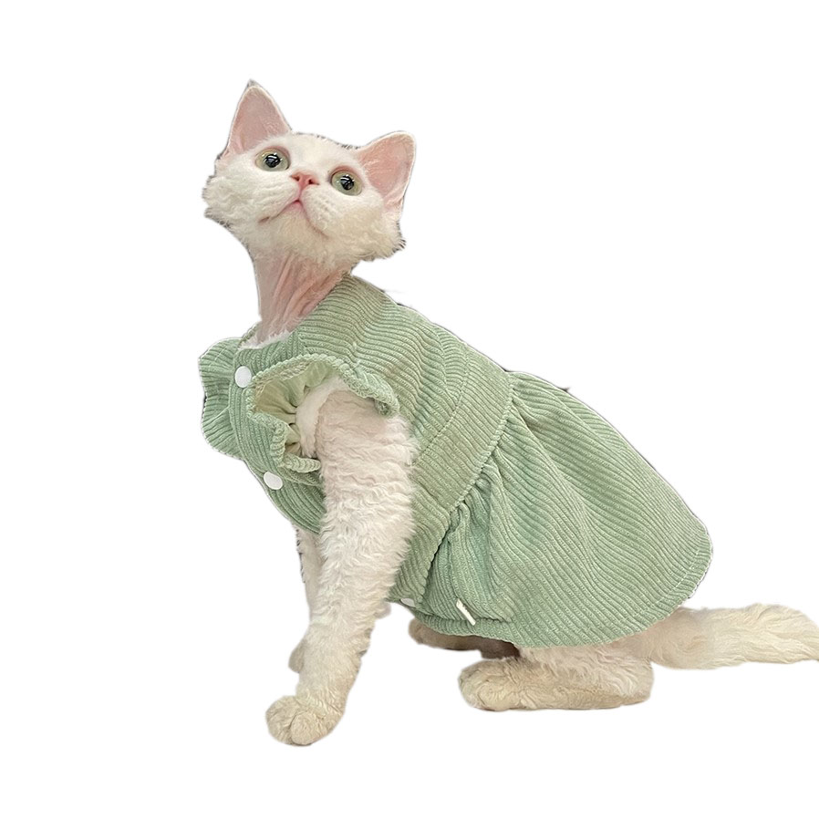 Cute Cats in Costumes-Green