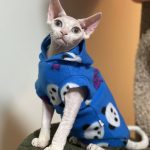 Cute Clothes for Cats-Hoodie vest
