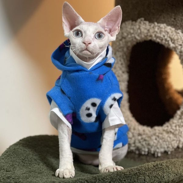 Cute Clothes for Cats-Hoodie vest+white shirt