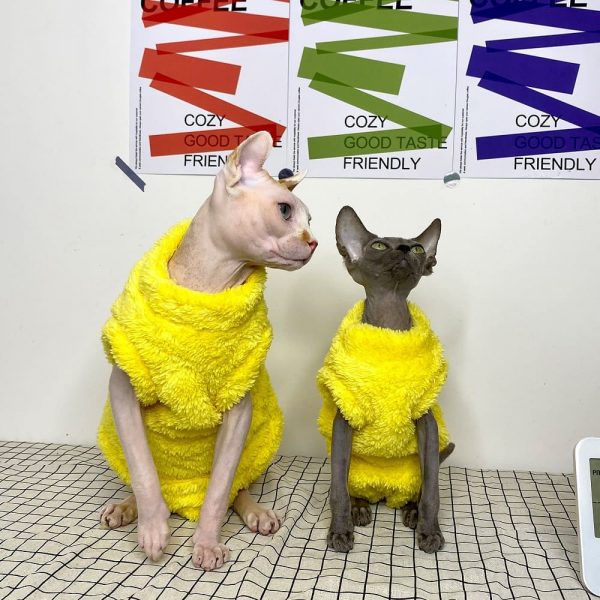 Cute Costumes for Cats | Stunning Yellow Onesie for Sphynx