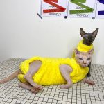 Cute Costumes for Cats | Stunning Yellow Onesie for Sphynx