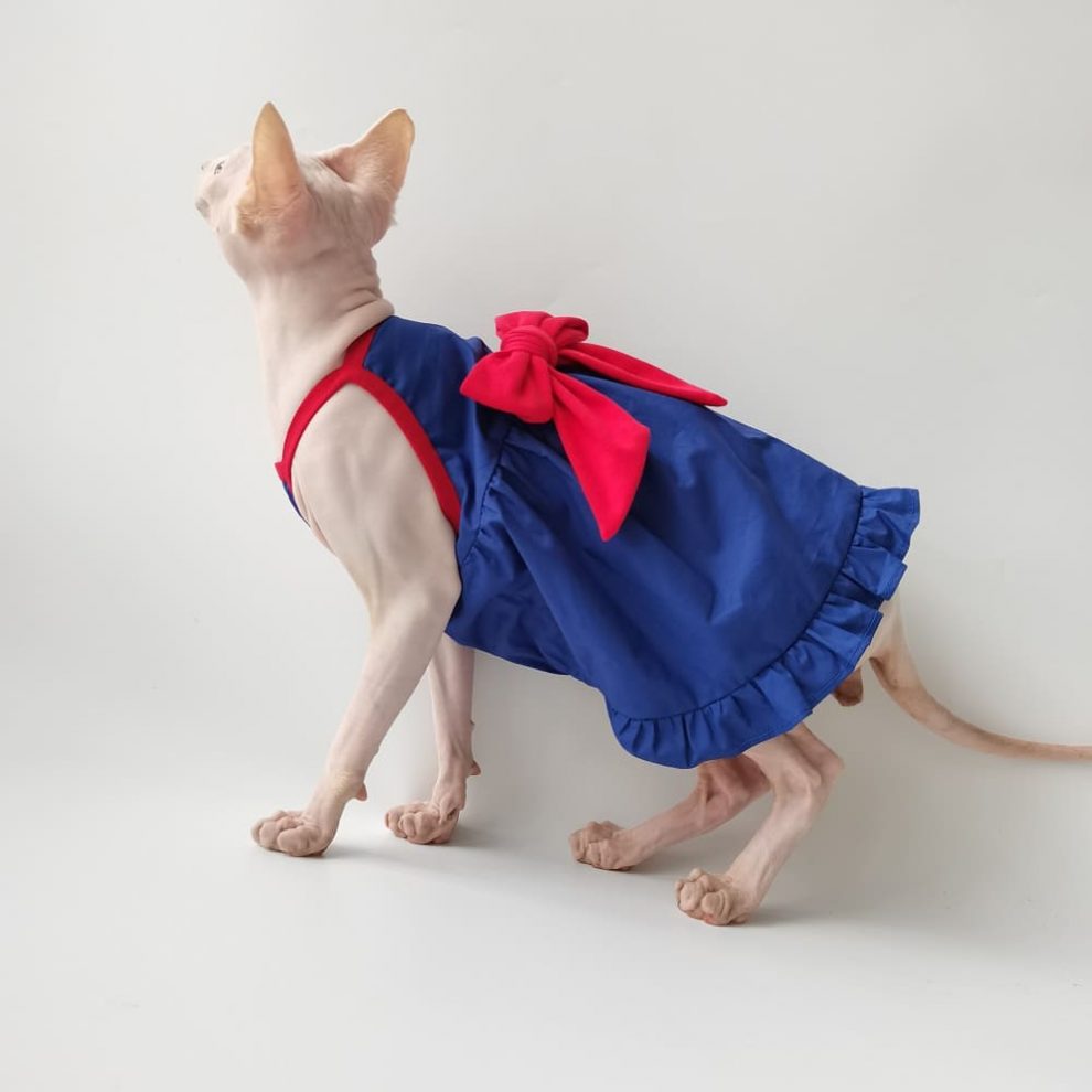 Cute Outfits for Cats Blue Suspender Dress, Sphynx Clothes for Cats