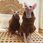 Niedliche Pullover für Katzen | Niedliche Kitty-Pullover, Katzenpullover und Hoodie