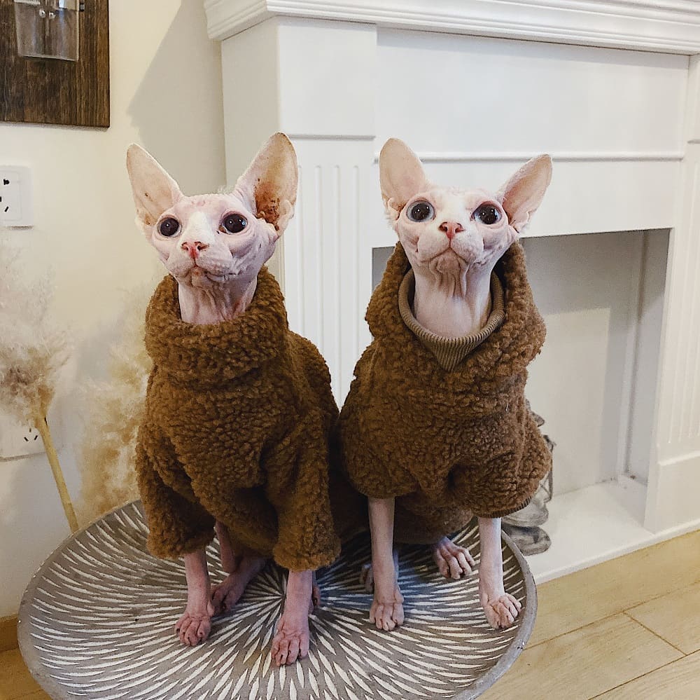 猫用かわいいセーター｜かわいい猫用セーター、猫用セーター、パーカー
