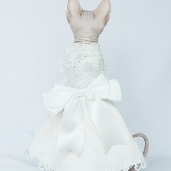 Vestido de novia de encaje con diamantes para gatos