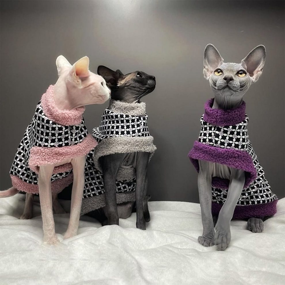 Fur Coats for Cats Cat Winter Coat, Sphynx Cat Clothes "One Hole"