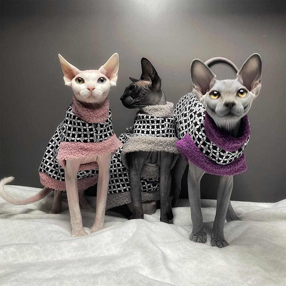 Fur Coats for Cats | Cat Winter Coat, Sphynx Cat Clothes One Hole