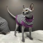 猫用ファーコート-バイオレット