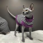 Fur Coats for Cats- Violet