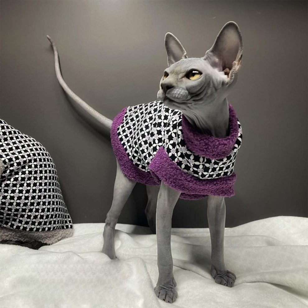 Fur Coats for Cats Cat Winter Coat, Sphynx Cat Clothes "One Hole"