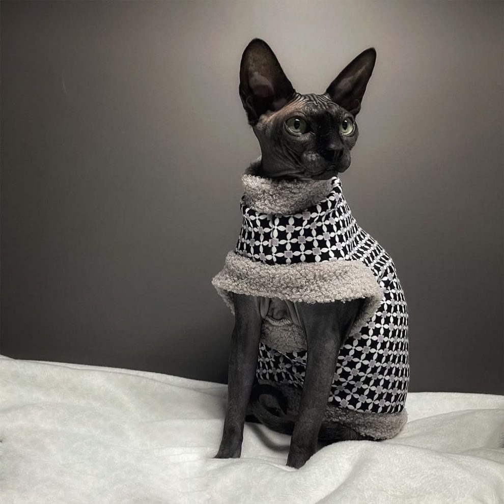 Fur Coats for Cats Cat Winter Coat, Sphynx Cat Clothes "One Hole"