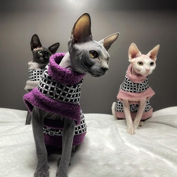 Fur Coats for Cats-Three cats wear coats