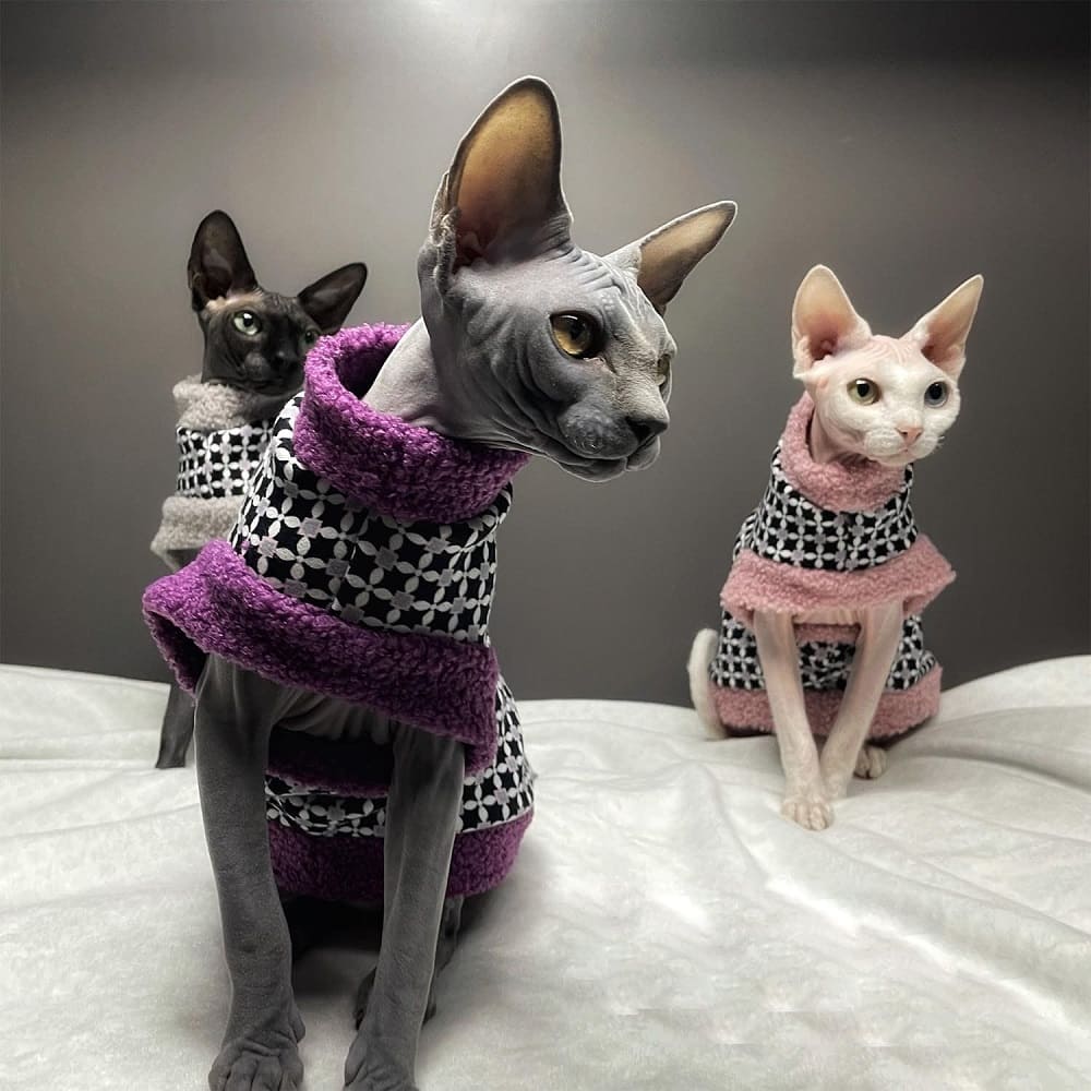 Coats for Sphynx Cats  Cat Winter Coat, Cat Coat, Jackets for cats