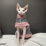Pelzmäntel für Katzen-Rosa