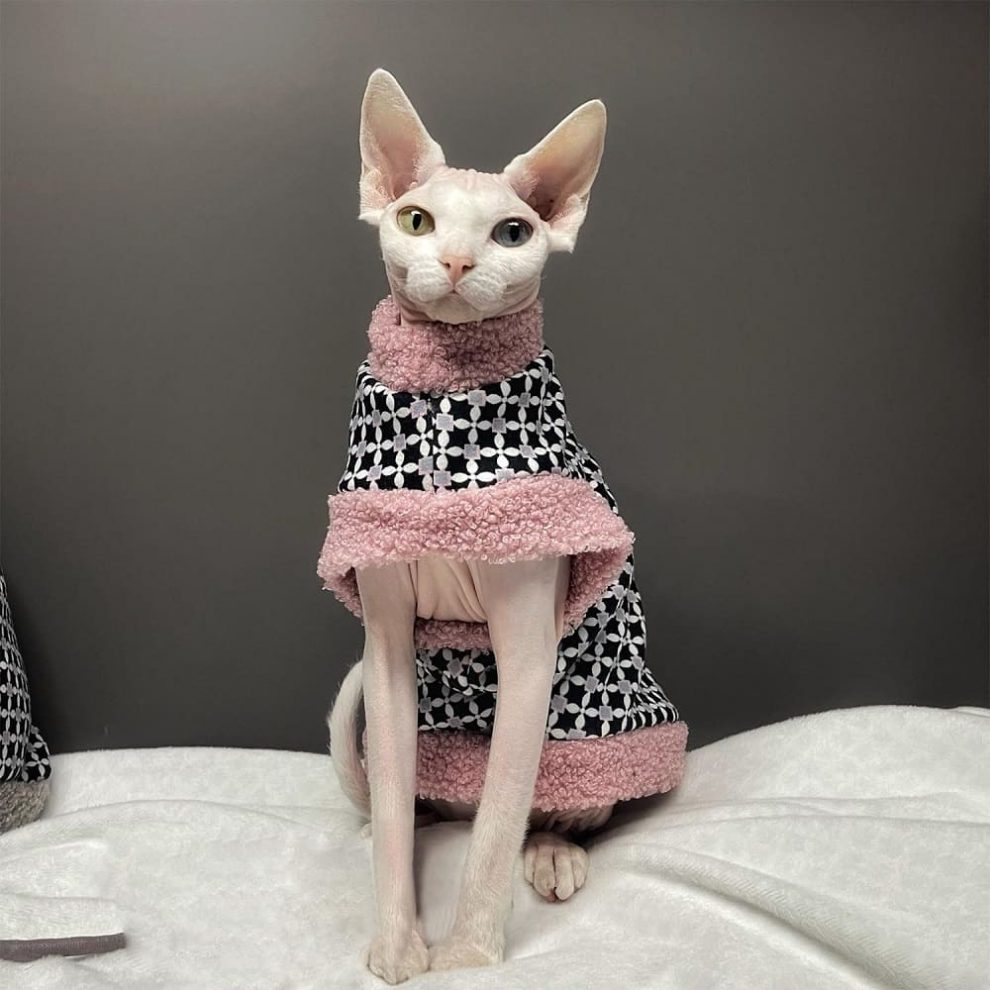 Fur Coats for Cats Cat Winter Coat, Sphynx Cat Clothes "One Hole"