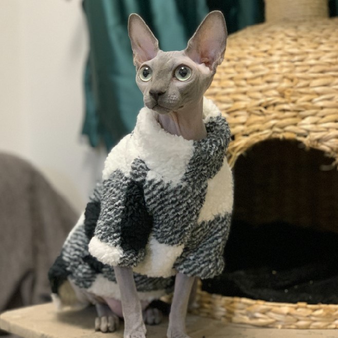  Sphynx Cat Clothes Super Soft Winter Warm Turtleneck