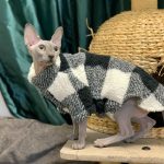 Kitty Sweaters | Sphynx Cat Clothes Turtleneck, Cat Pet Sweater