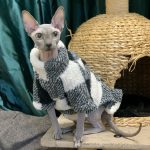 Kitty Sweaters | Sphynx Cat Clothes Turtleneck, Cat Pet Sweater