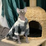 Kitty Sweaters | Sphynx Cat Clothes Turtleneck, Cat Pet Sweater