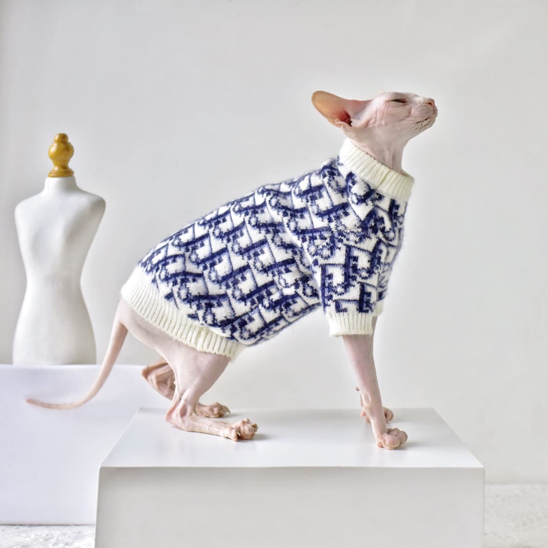 Maglione per gatti senza peli, maglione classico "Dior", maglione di lusso per gatti