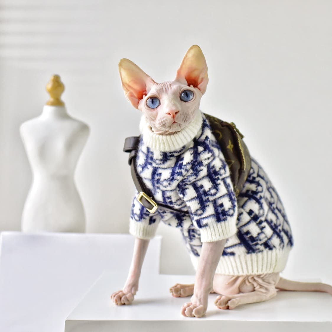 Suéter Gatos sin Pelo | Suéter Clásico "Dior", Suéter de Lujo para Gato