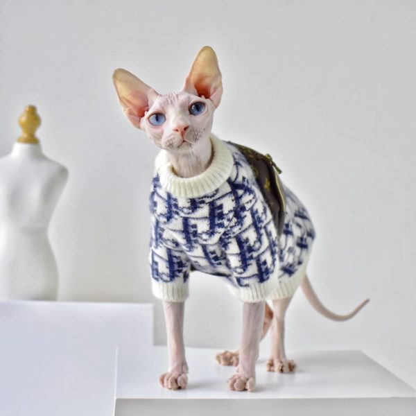 Maglione per gatti senza peli, maglione classico "Dior", maglione di lusso per gatti