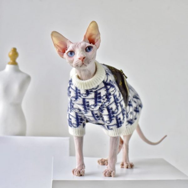 Hairless Cats Sweater | “Dior” Classic Sweater, Luxury Sweater for Cat