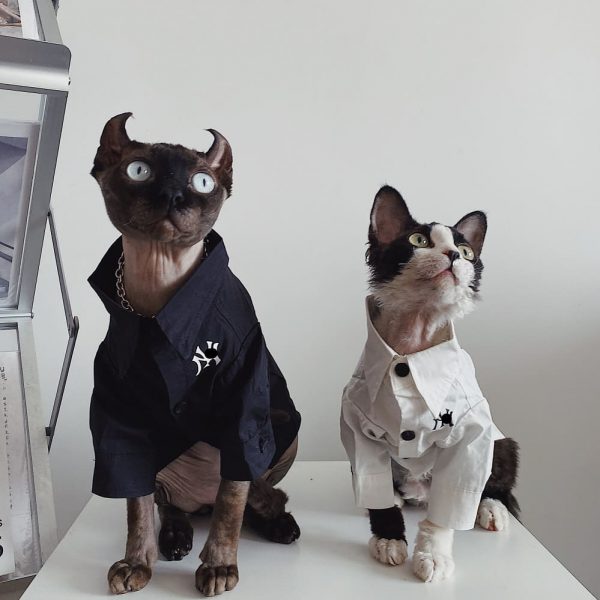 Button up Shirts for Cats | "New York Yankees" Logo Shirt for Sphynx