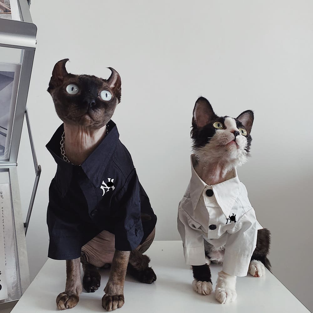 Button up Shirts for Cats | New York Yankees Logo Shirt for Sphynx