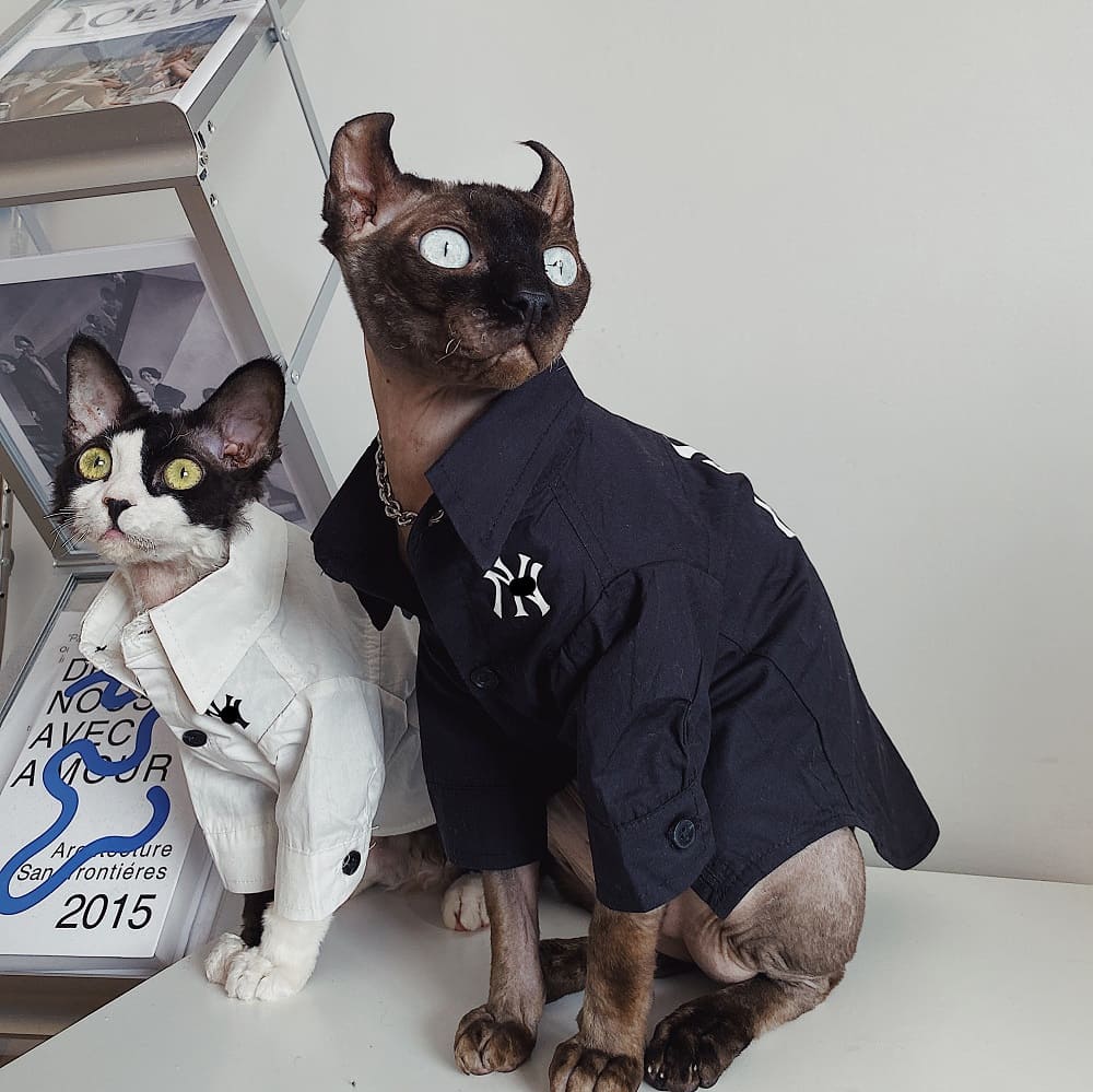 Button up Shirts for Cats | New York Yankees Logo Shirt for Sphynx
