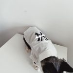 Button up Shirts for Cats | "New York Yankees" Logo Shirt for Sphynx