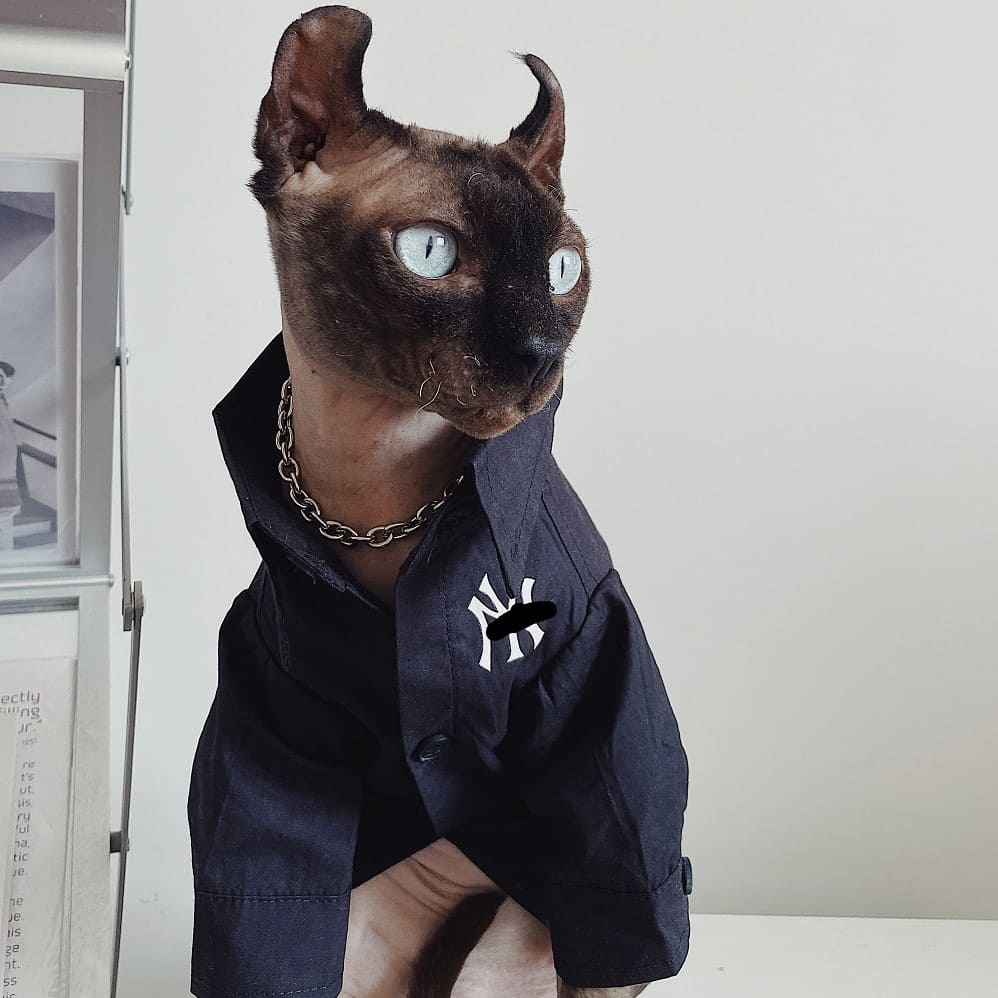 Button up Shirts for Cats | New York Yankees Logo Shirt for Sphynx