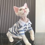 Kitty Outfit | Cute Simple Polo Shirt for Cat, Shirt Collar for Cats