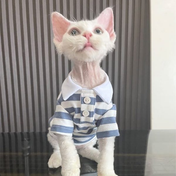 Kitty Outfit | Camisa Polo Simples Fofinha para Gatos, Coleira de Camisa para Gatos