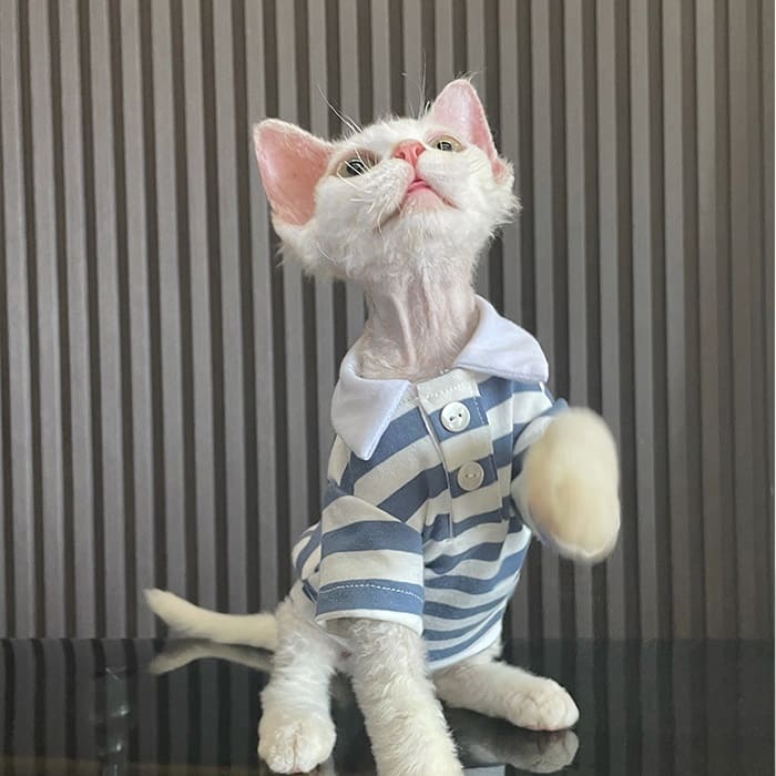 キティちゃんの服｜猫用かわいいシンプルなポロシャツ、猫用シャツカラー