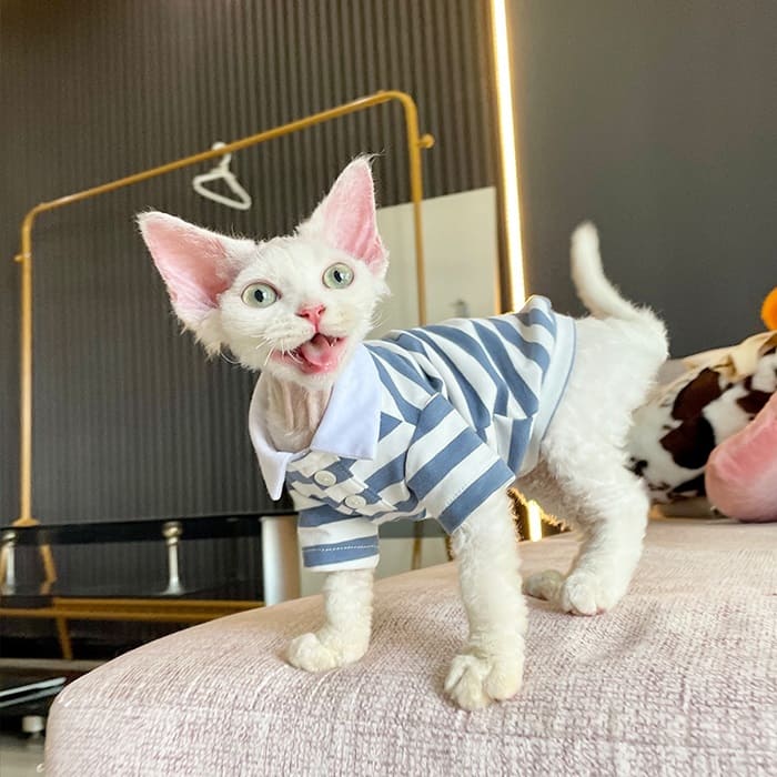 Kitty Outfit | Lindo Polo Simple para Gato, Cuello de Camisa para Gatos