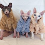 Pet Cat Clothes Hairless Cat With Winter Coat, Rabbit Velvet Plaid Coat (11)