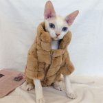 Pet Cat Clothes-Coffee