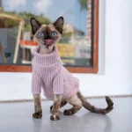 Pink Turtleneck Sweater for Cats