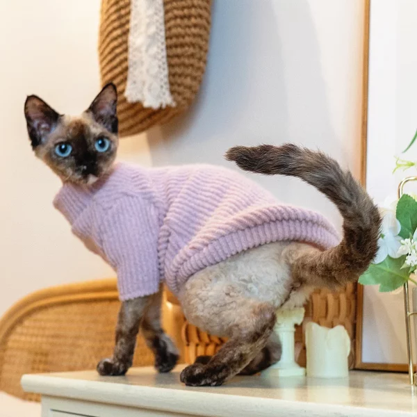 Pink Turtleneck Sweater for Cats