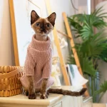 Pink Turtleneck Sweater for Cats