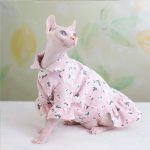 Roupas de Princesa para Gatos | Vestidos para Gatos, Roupas de Gato Cute Sphynx