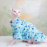 Costumes de princesse pour chats | Robes pour chats, Vêtements pour chats Sphynx mignons